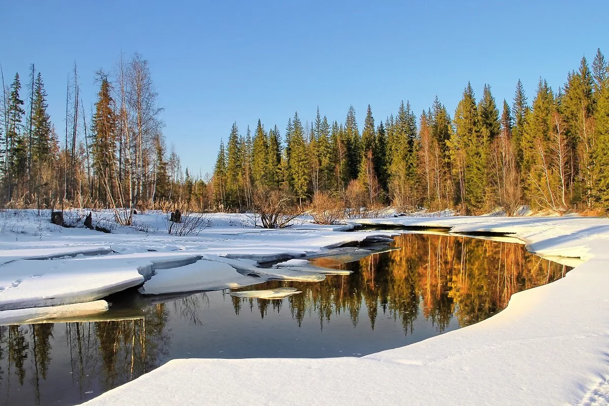 источник фото - интернет