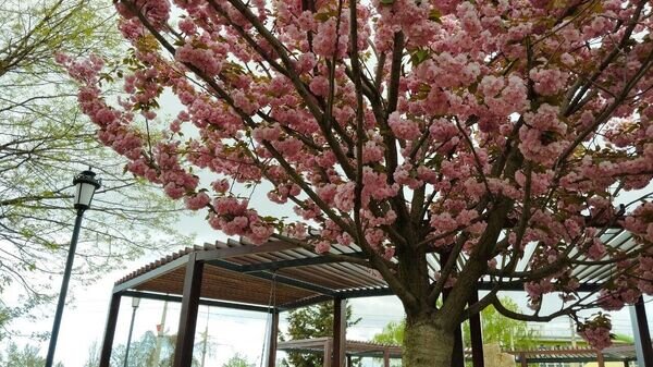    © РИА Новости Крым