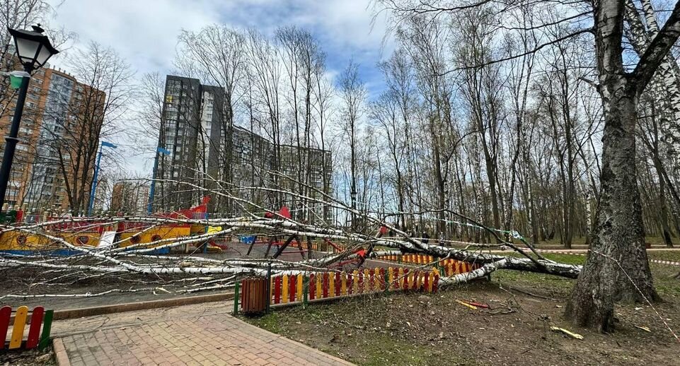    Пресс-служба Следственного комитета