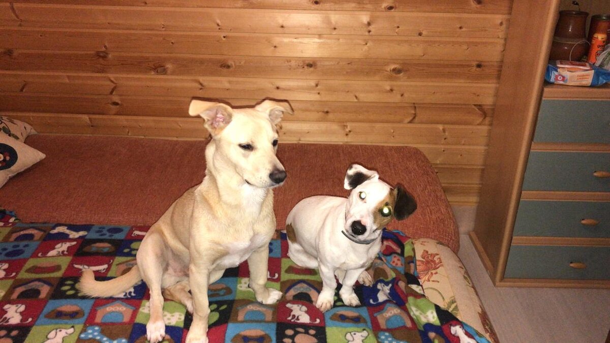 Белочка и ее сын Вениамин