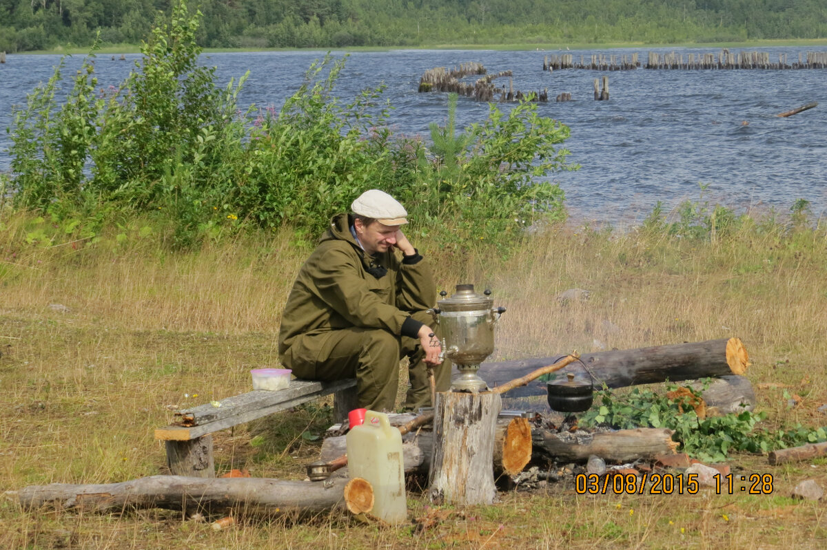 Пильмасозеро - или как мы неправильно посетили Водлозёрский национальный  парк | Дмитрий Афанасьев | Дзен