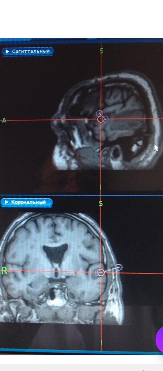 Фото из свободных источников