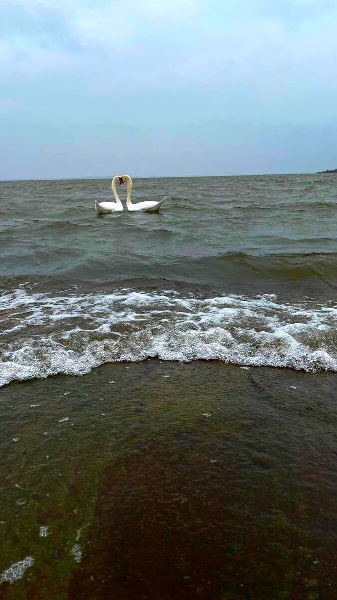 Фото дочери для превью