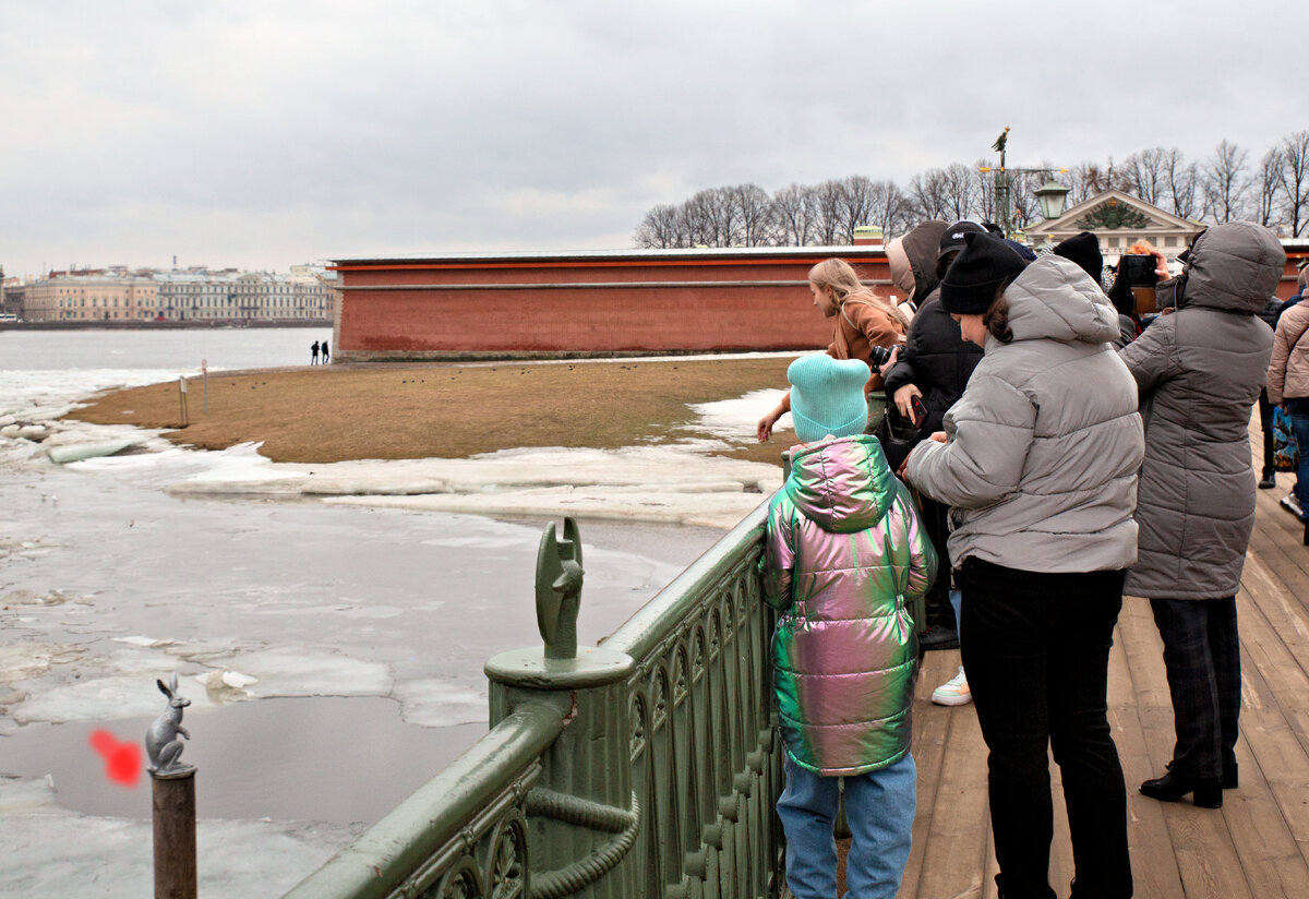 Первый заяц, которого вы увидите - Арсений на пенечке