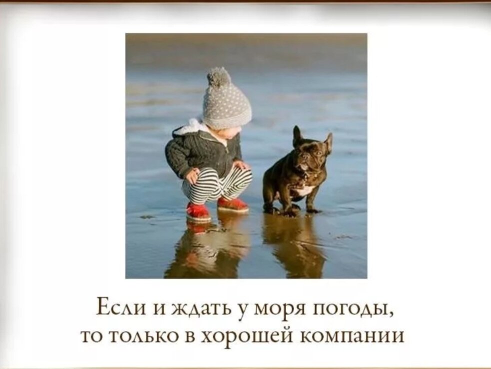 Я думаю это про Сбер