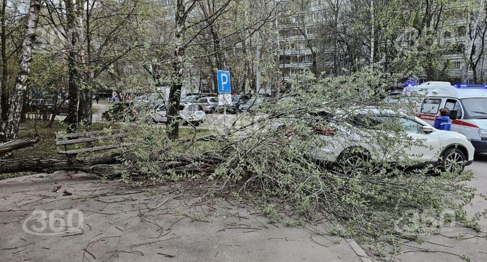    Телеканал «360»