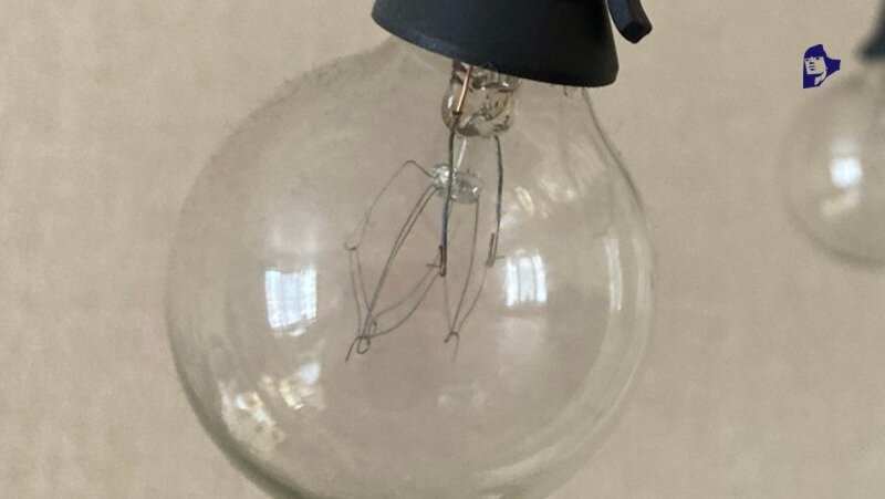      Фото: ИА «Победа26»