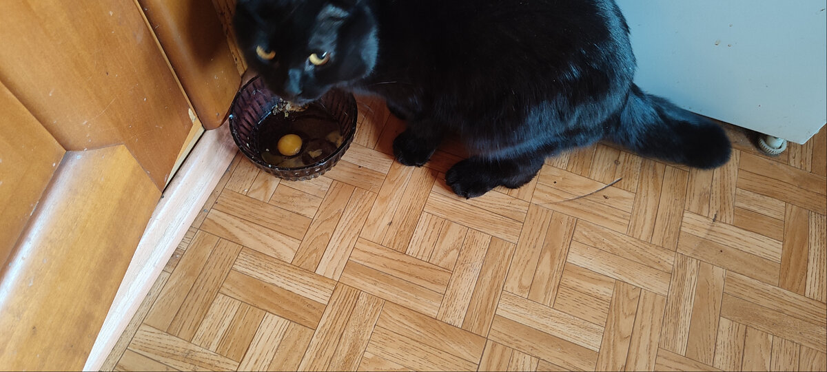 Обычно он съедает два, а сегодня попросил добавки 😊