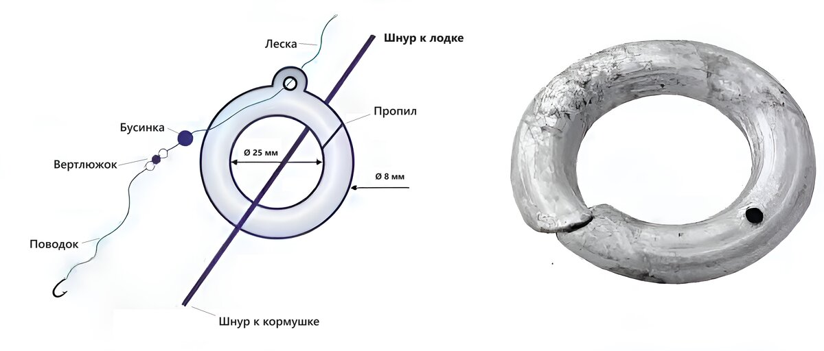 Ловля леща на кольцо волга