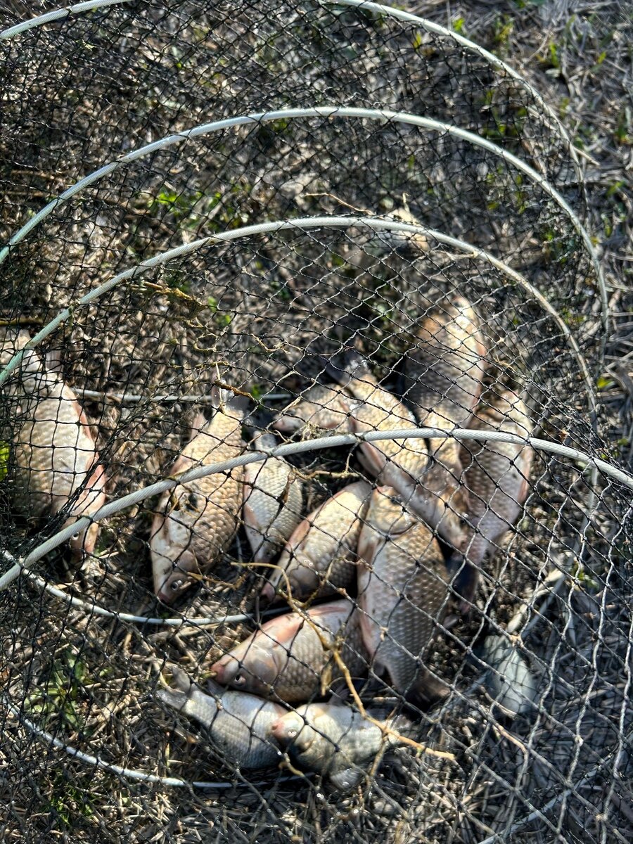 Погода на озере уелги челябинской