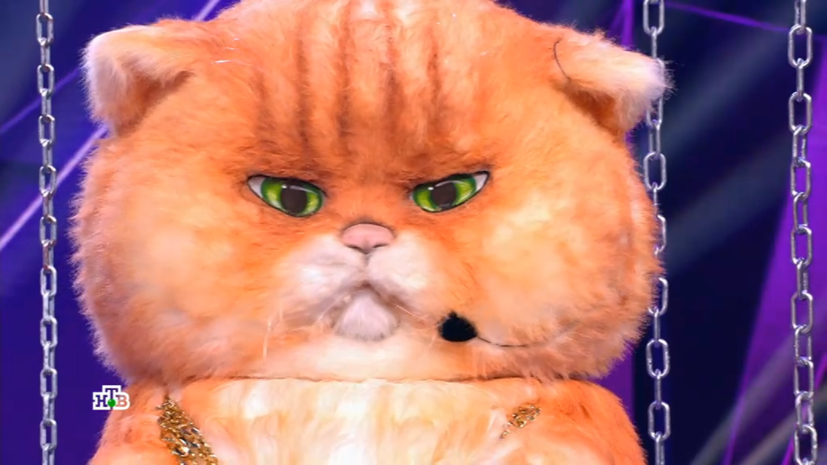 Поющий антистресс угодил в номинацию