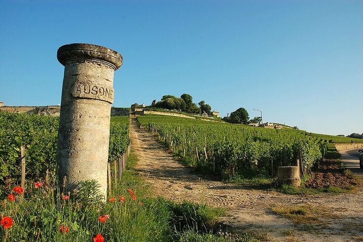 Виноградник Château Ausone, регион Бордо, г. Сент-Эмильон, Франция. 