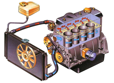 С вами канал деревенская мастерская и я его ведущий Никита Мичурин