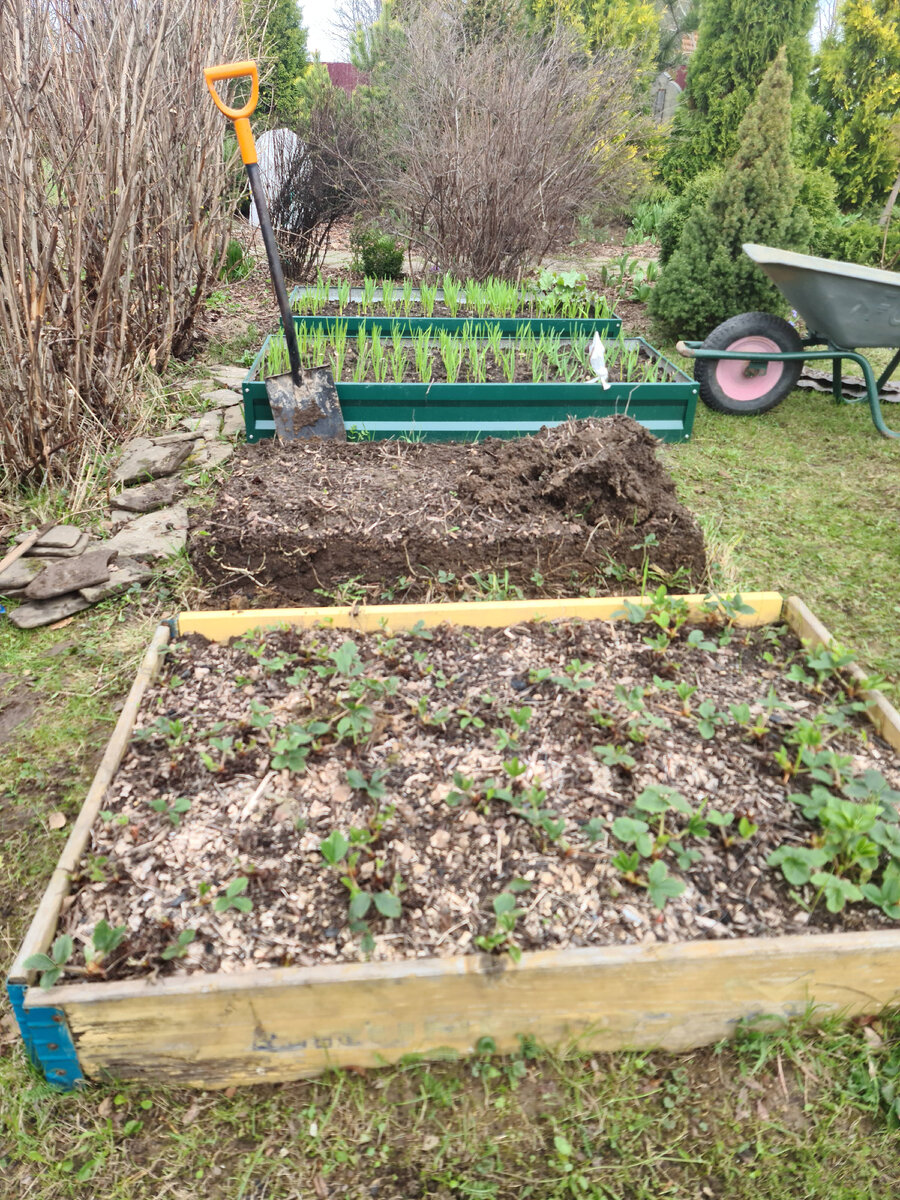 Так было до замены грядок