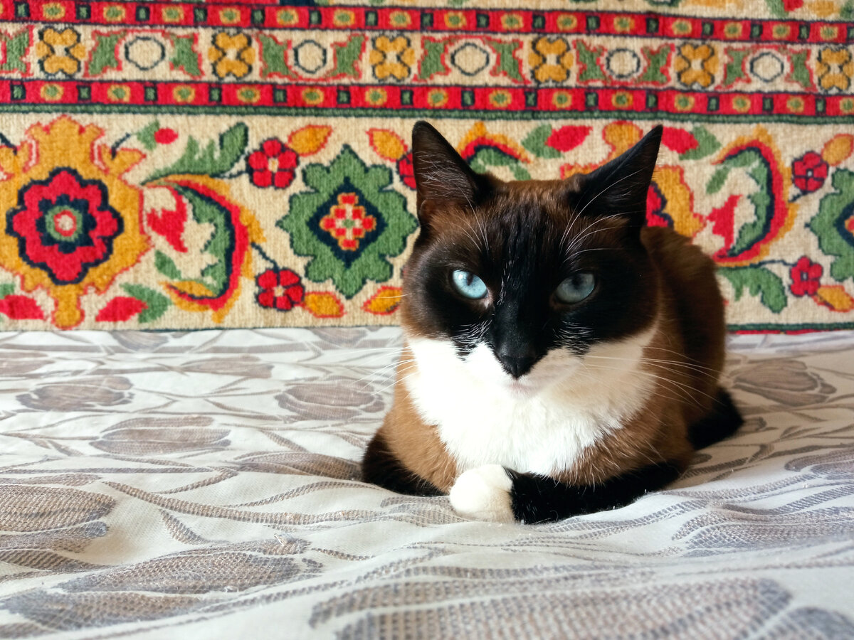 К доске пойдёт...