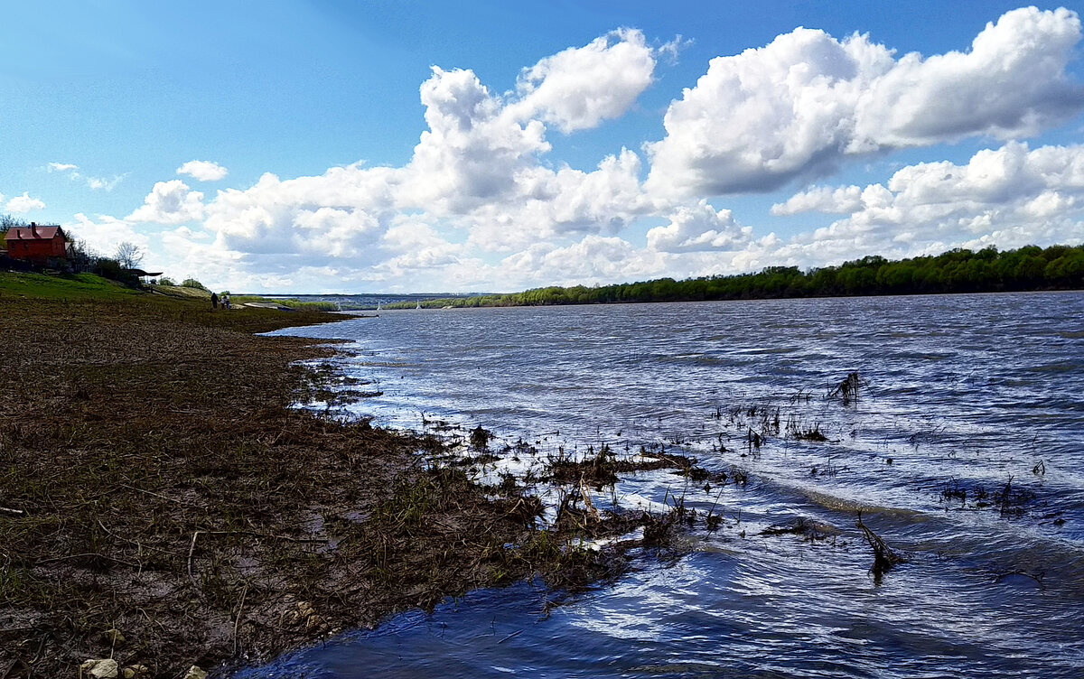 Река Ока на юге Московской области, изображение из открытых источников