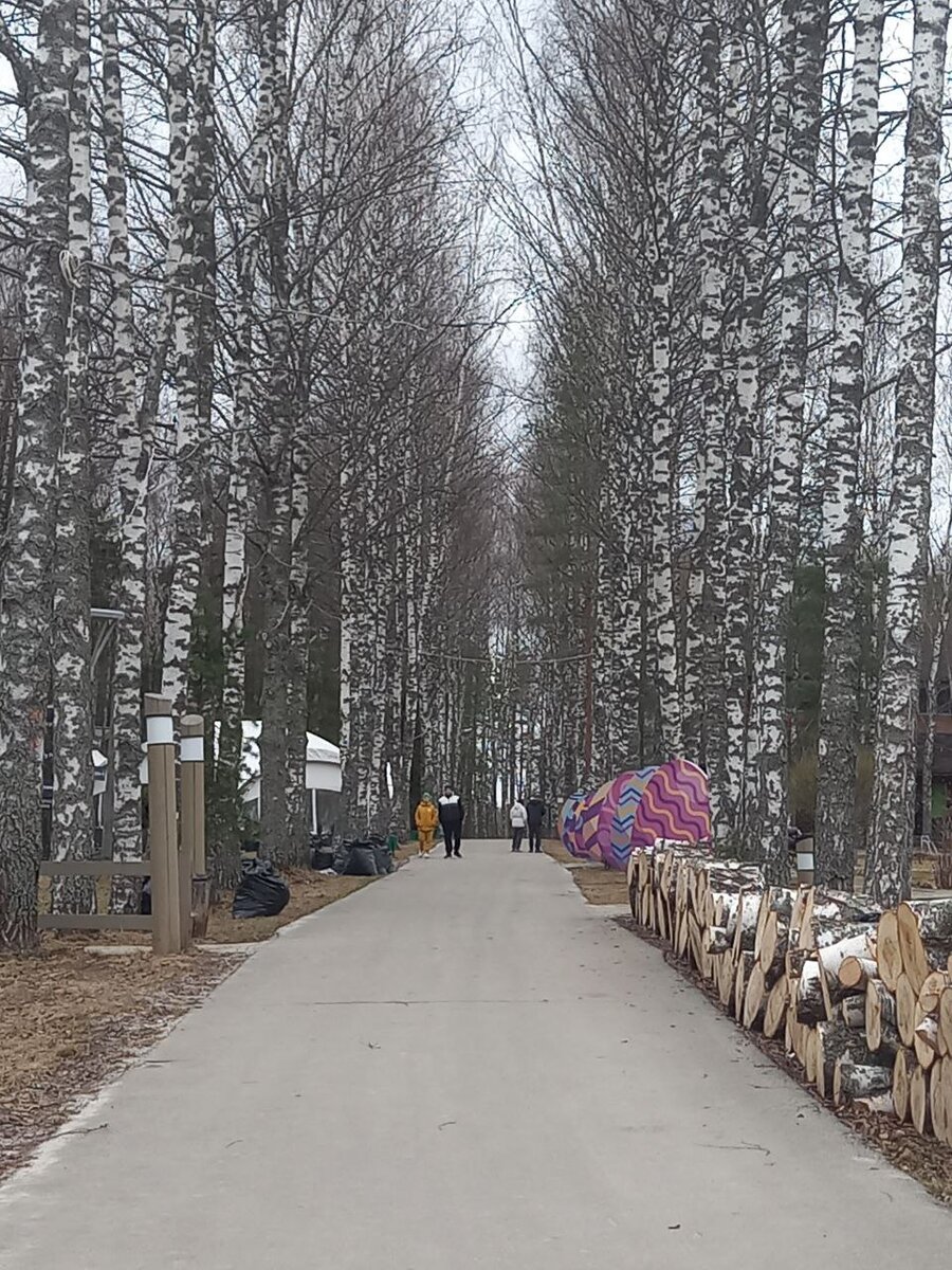 Экоотель "Романов лес"