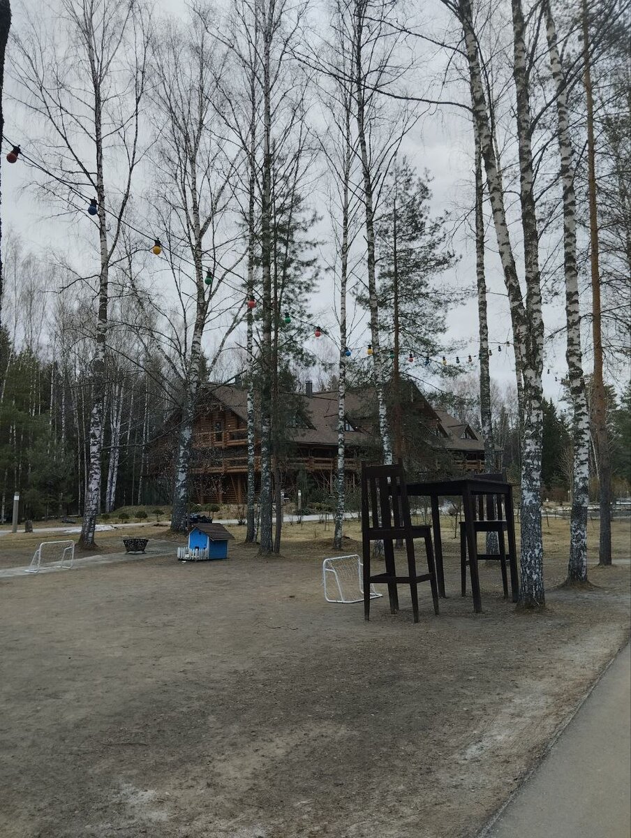 Экоотель "Романов лес"