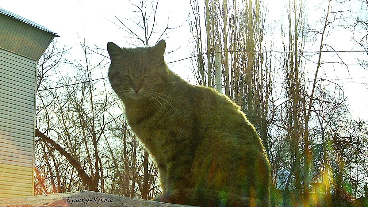 Самое время для свиданий под луной, воспользуйтесь шансом. 