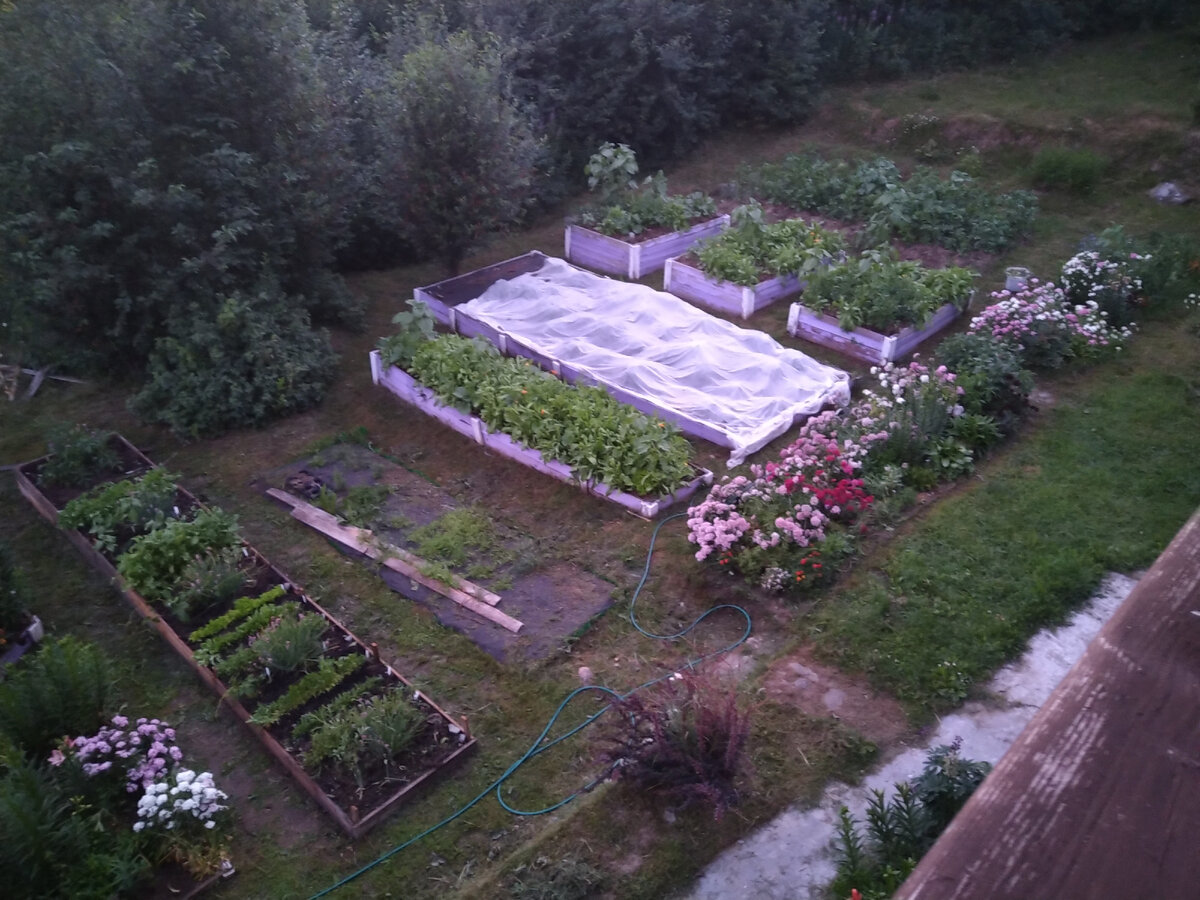 Наш огородик