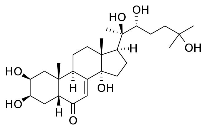 Изображение By User:Edgar181 - Own work, Public Domain, https://commons.wikimedia.org/w/index.php?curid=74065214