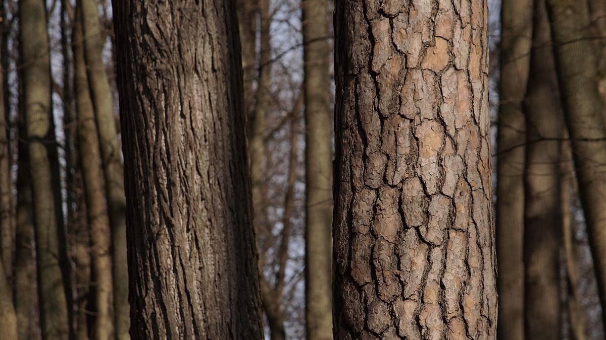    Фото: Анатолий Цымбалюк / Вечерняя Москва