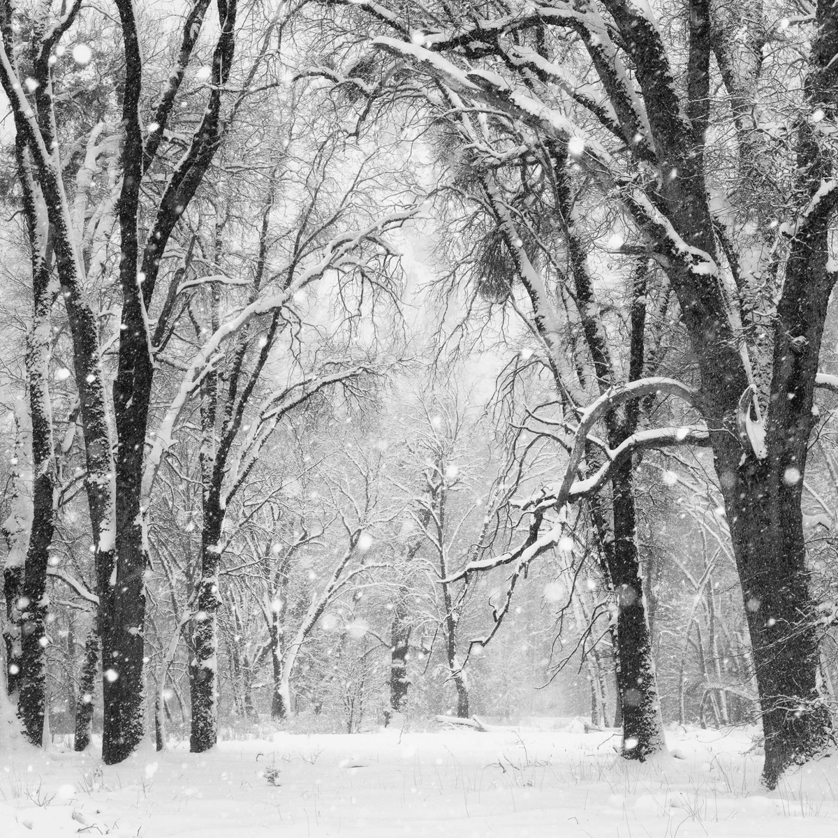 © Franka Gabler (США). 
Высокая оценка жюри в номинации «Лучший пейзажный фотограф» | NLPA’2023