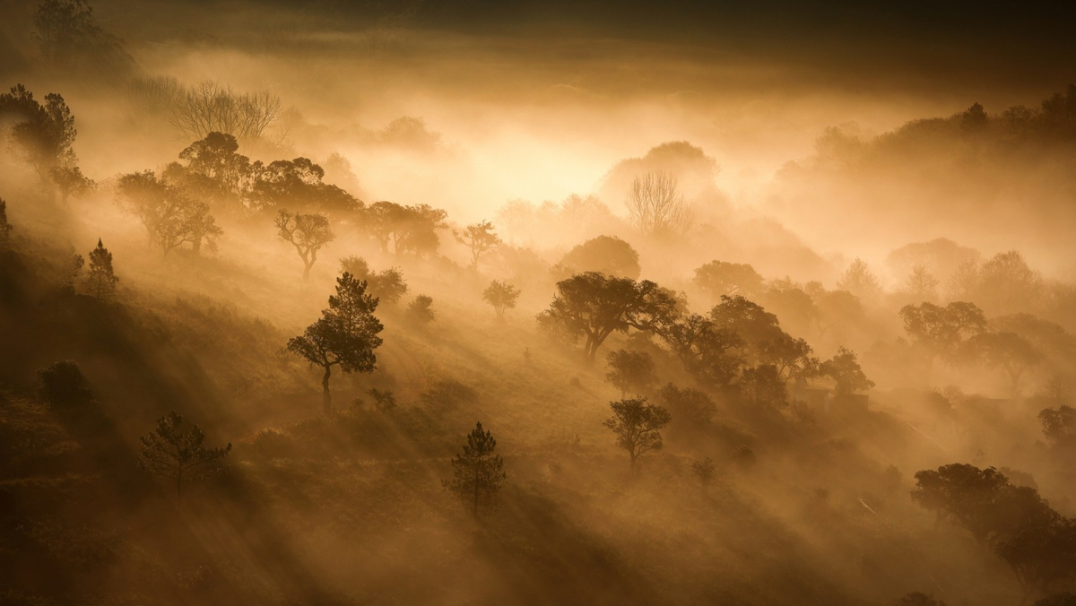 © Xavier Lequarre (Франция). 
Высокая оценка жюри в номинации «Лучший пейзажный фотограф» | NLPA’2023