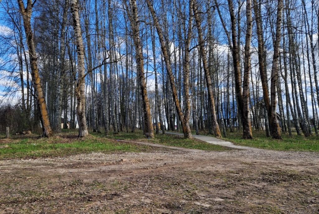 место преступления (фото: СУ СК РФ по Тверской области)