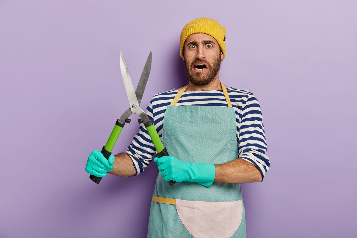 Автор:  wayhomestudio