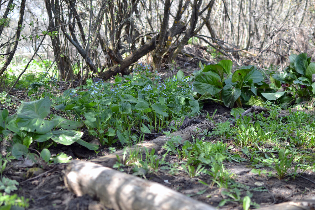 Галерея, листайте
