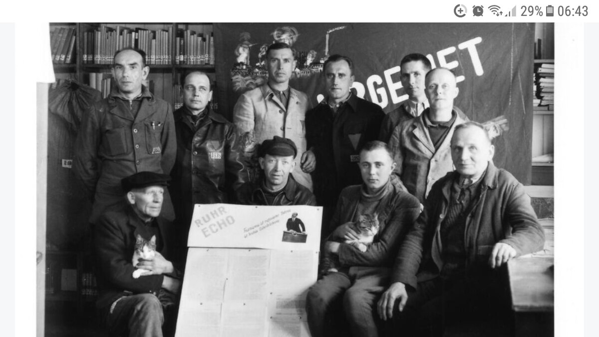 Группа немецких коммунистов (Рурская ячейка) в лагерной библиотеке, Бухенвальд, апрель 1945. Трёх котиков видите?)