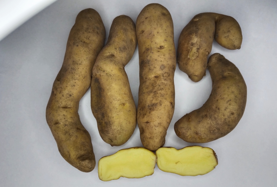 Картофель Банан