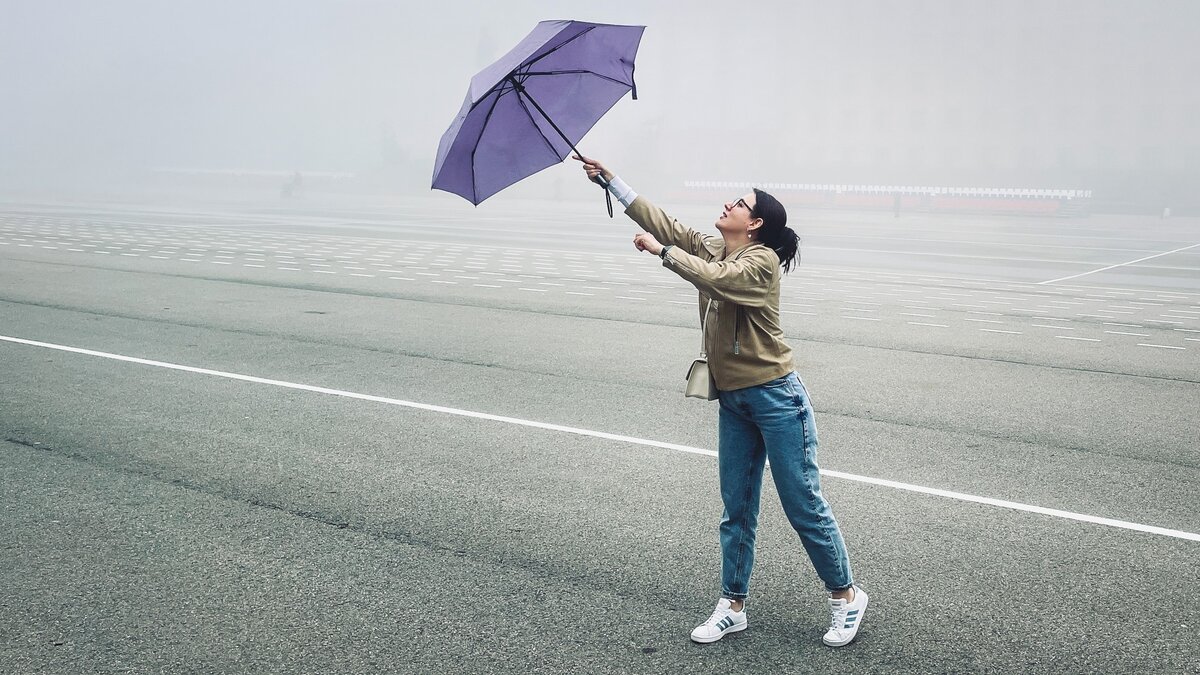     Источник: 1MI