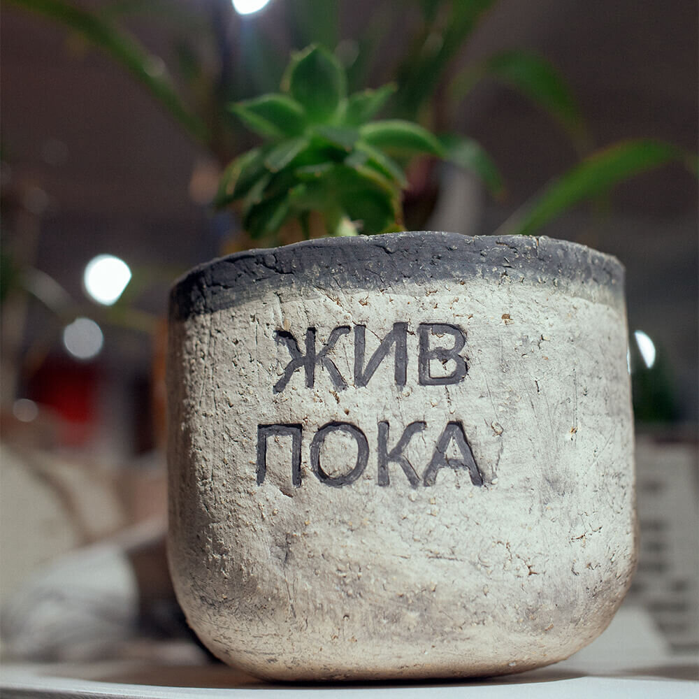 Даже, если у вас загнулся первый кактус, теперь он точно выживет:) 