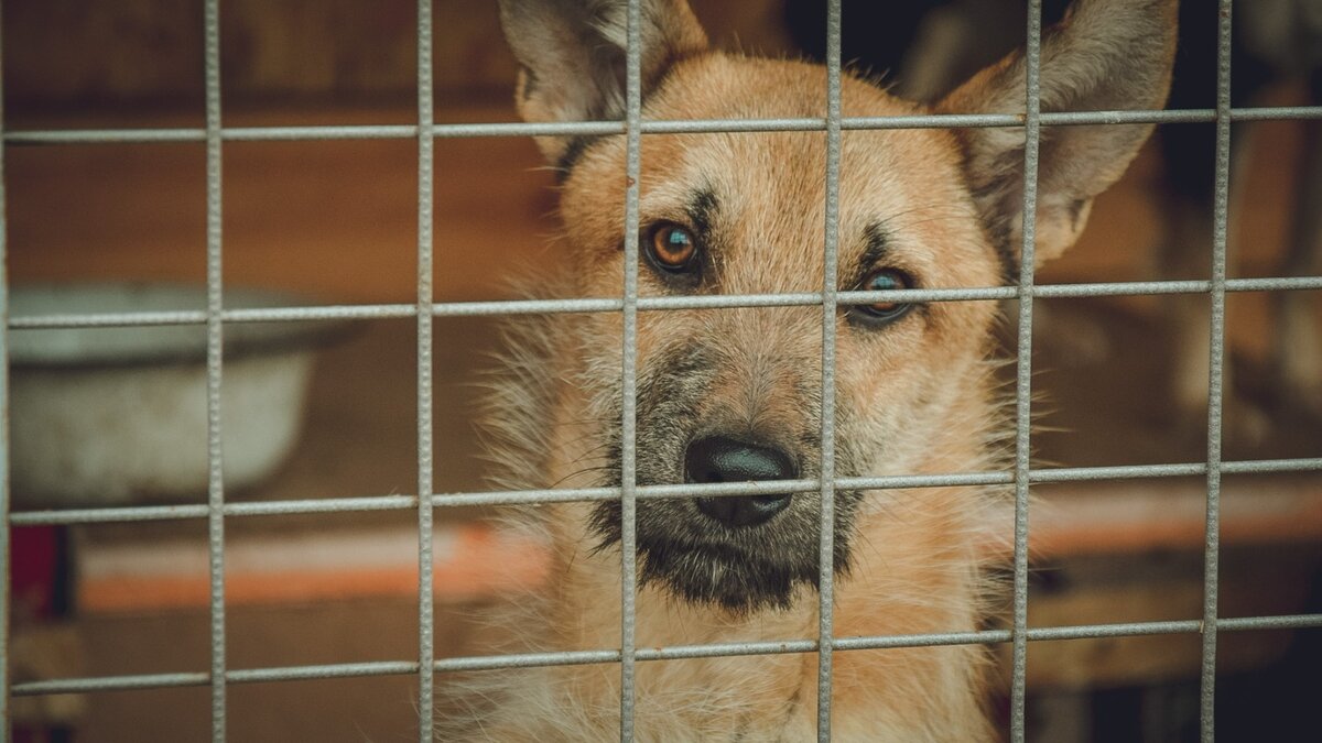     Источник: 1MI