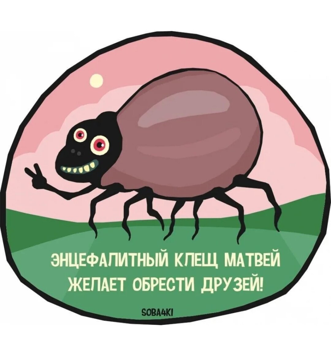 Из свободного доступа сети Интернет 