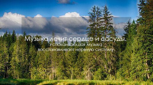 Музыка лечит сердце и сосуды. Успокаивающая музыка восстанавливает нервную систему. (3_85)