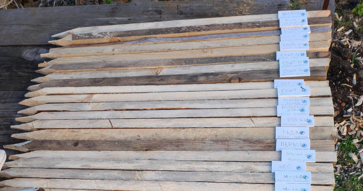 вот такие получились колышки, затем еще планирую перенести на план деревьев, 