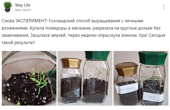 Посадка 7 февраля.