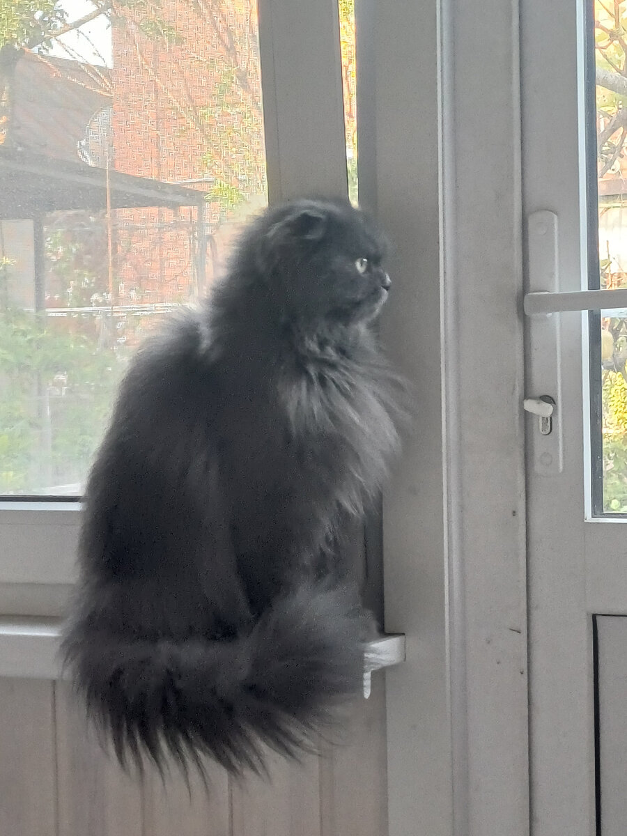 Фото пвтора