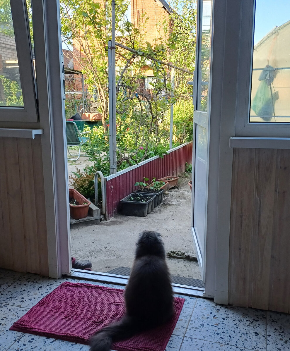 Фото автора.