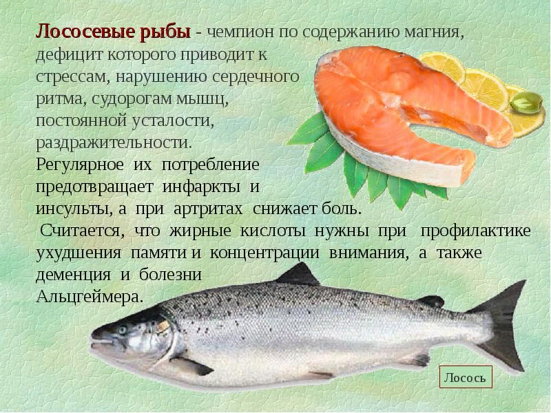 Хищники из лососевого семейства обладают множеством полезных качеств и свойств.