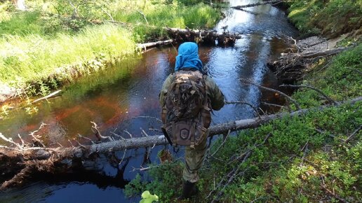 РУЧЕЙ МАЛ НО ТАМ ЖИВЁТ НЕЧТО. РЫБАЛКА НА ДИКОМ РУЧЬЕ. РЫБАЛКА НА СПИННИНГ. РЫБАЛКА В КАРЕЛИИ