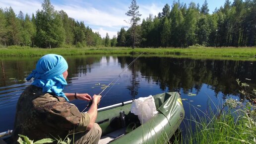 Рыбалка на таёжной реке. Ловлю хищников на спиннинг. Клёвая рыбалка в Карелии. Защита от комаров