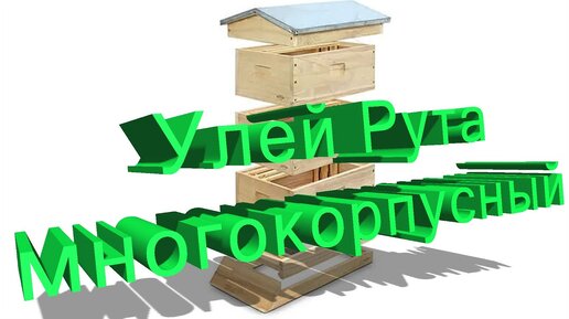 Профессор Кашковский про улей Рута (многокорпусный)