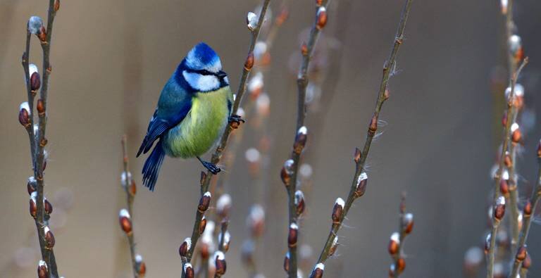 Фото: Karin Jähne via www.imago-images/Globallookpress