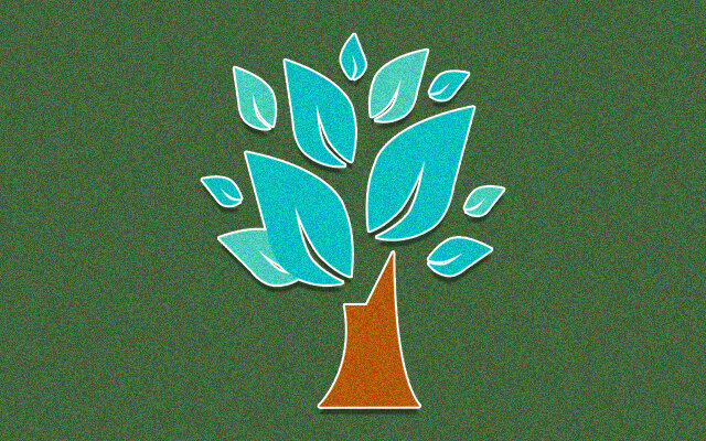 Где покупать семена и саженцы: 11 лучших интернет-магазинов