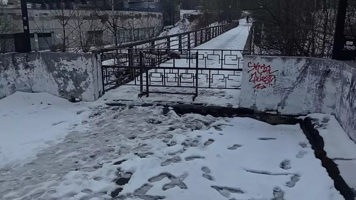     Источник: Администрация Петрозаводского городского округа / vk