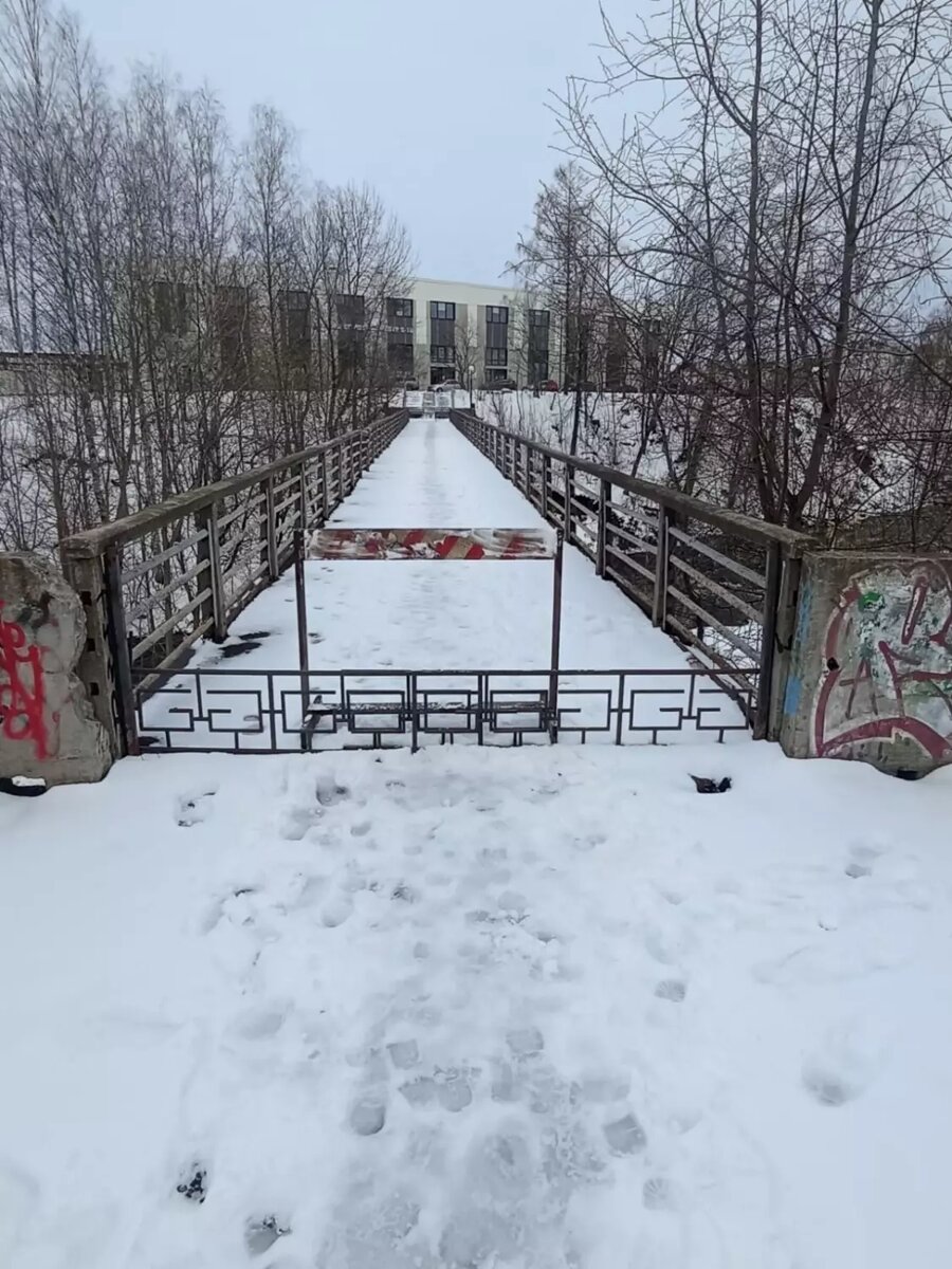     Источник: Администрация Петрозаводского городского округа / vk
